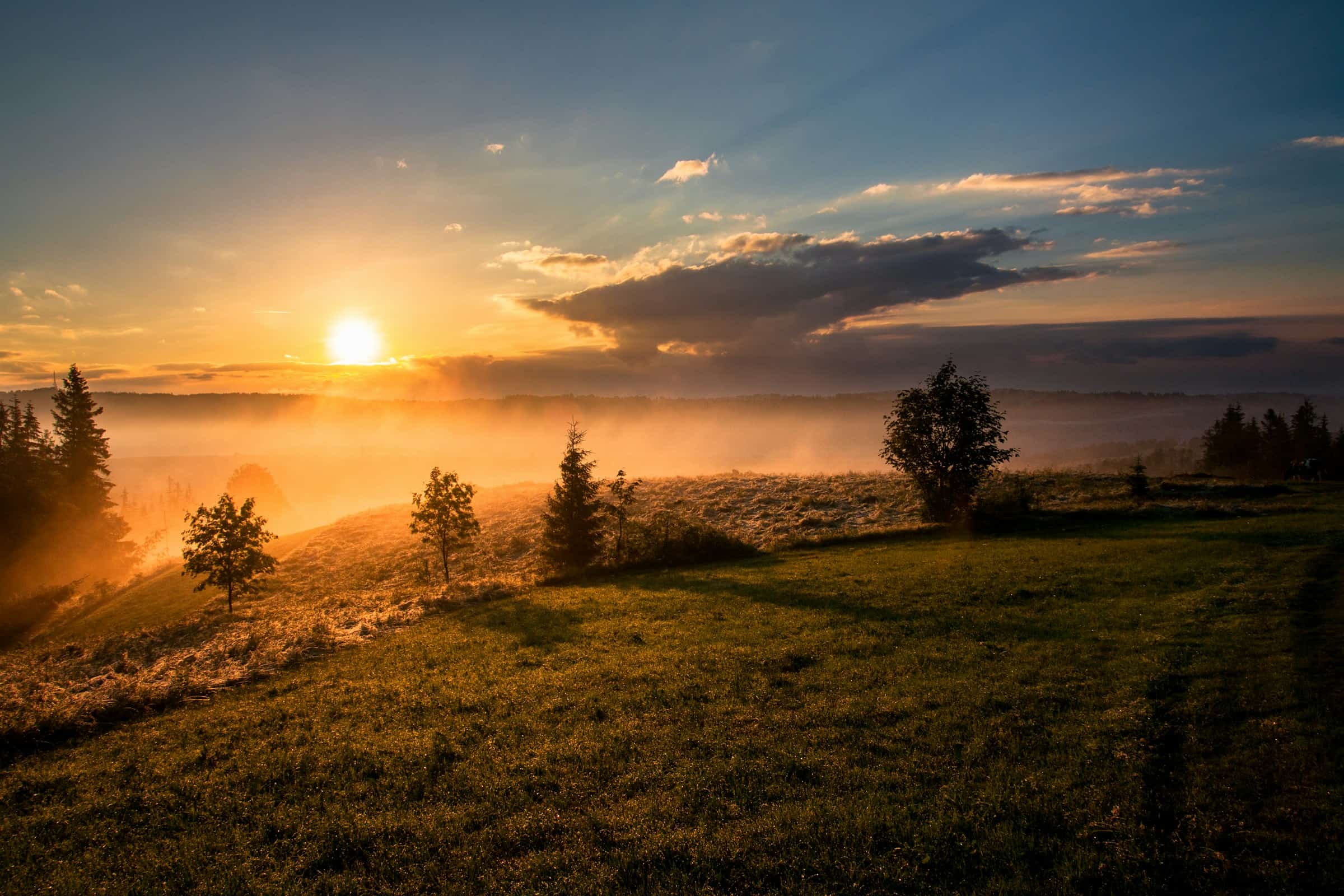 El amanecer entre la neblina sobre campos verdes, un nuevo comienzo