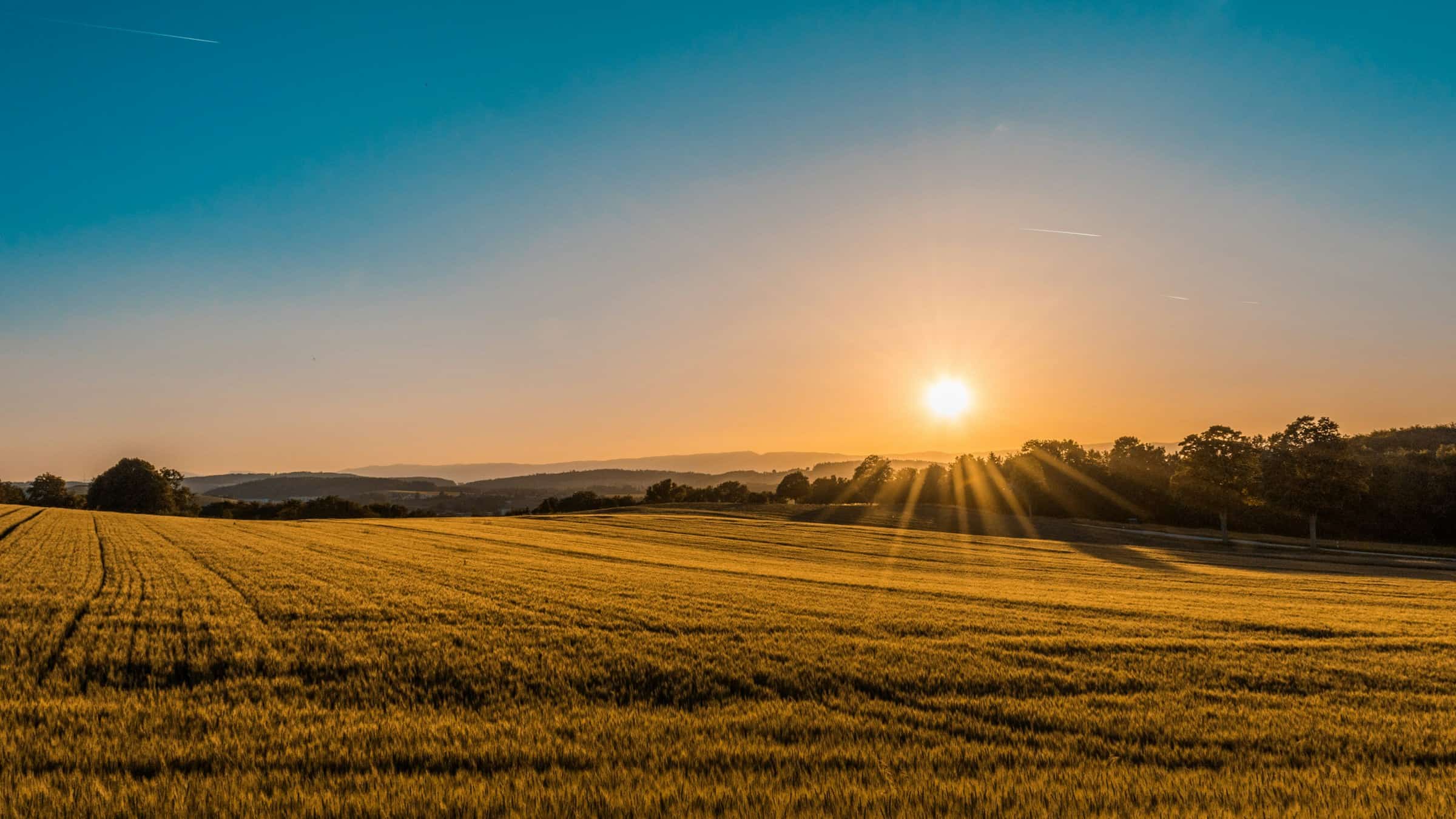 El sol poniéndose sobre un campo de trigo dorado: planear para las próximas temporadas
